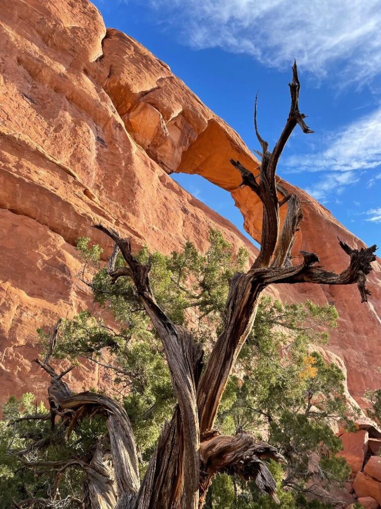 Ultimate guide to Moab