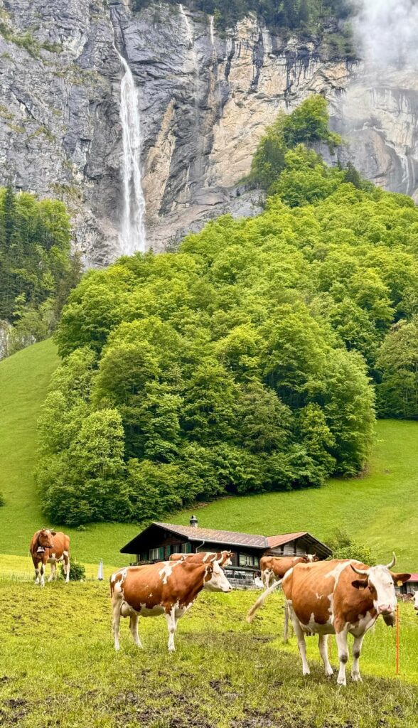 Visit Switzerland without breaking the bank