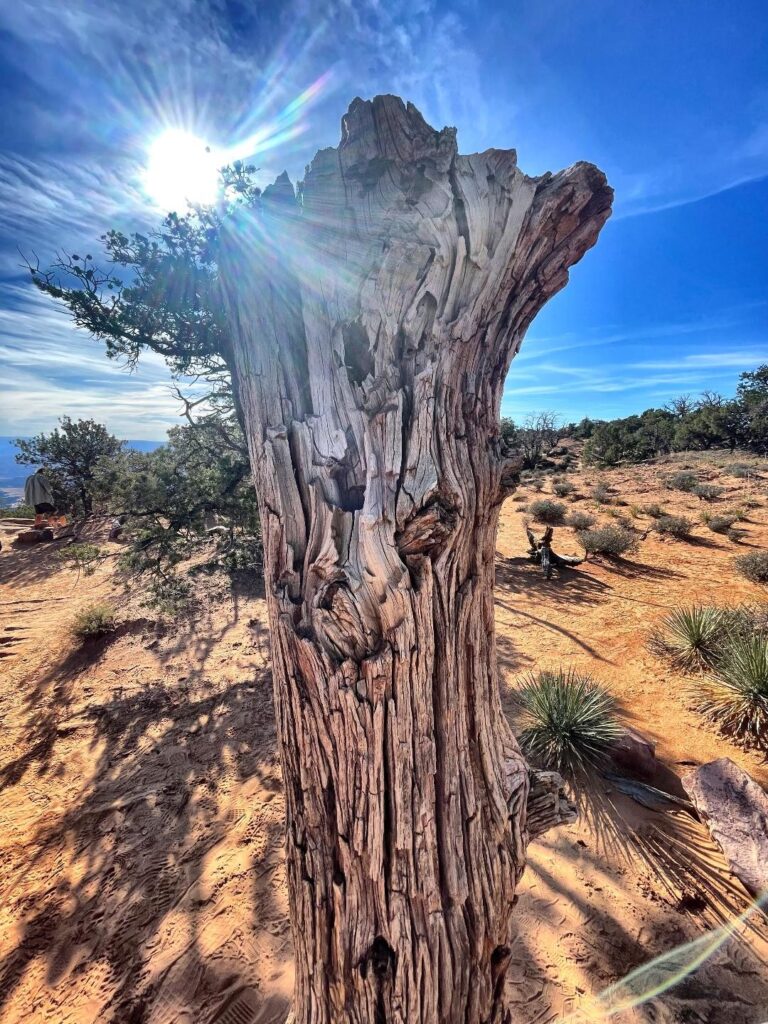 Hiking in Canyonland Moab, Utah
