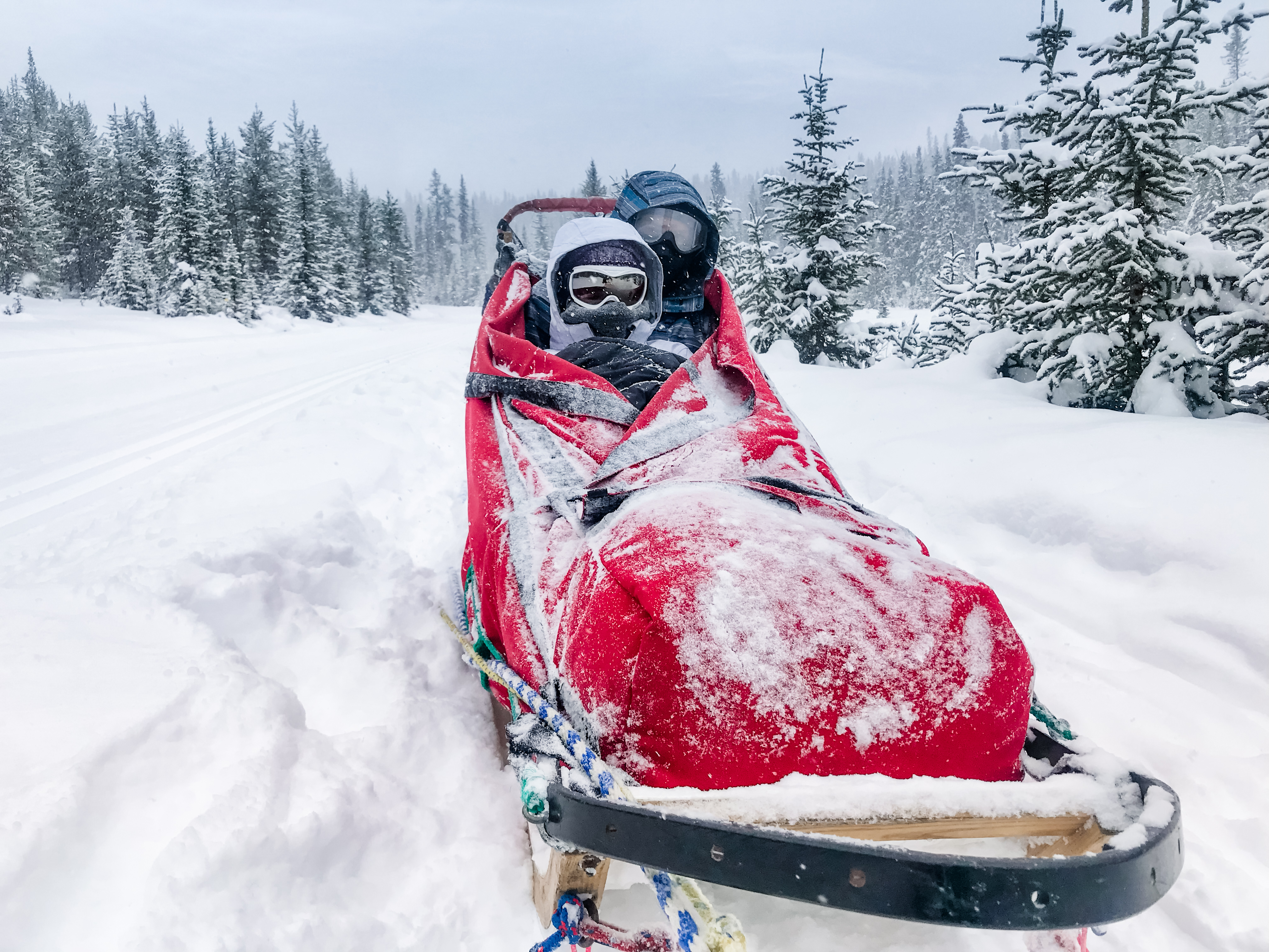 Winter Wonderland Adventure in Banff