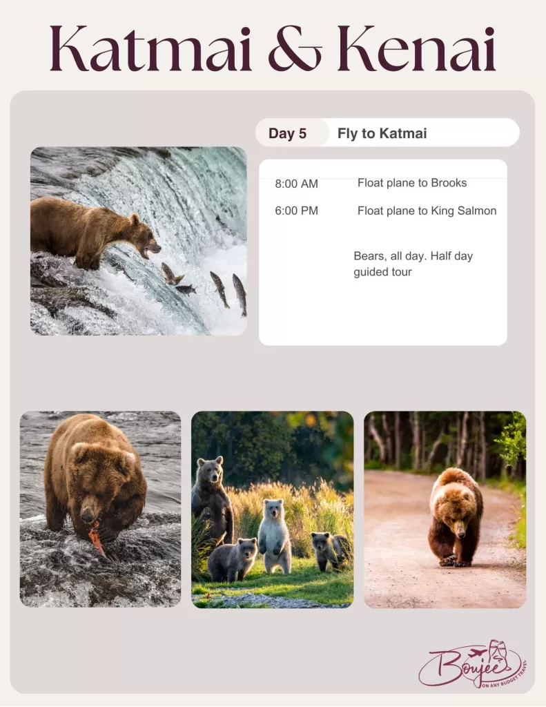 Travel Planning Guide for Katmai National Park