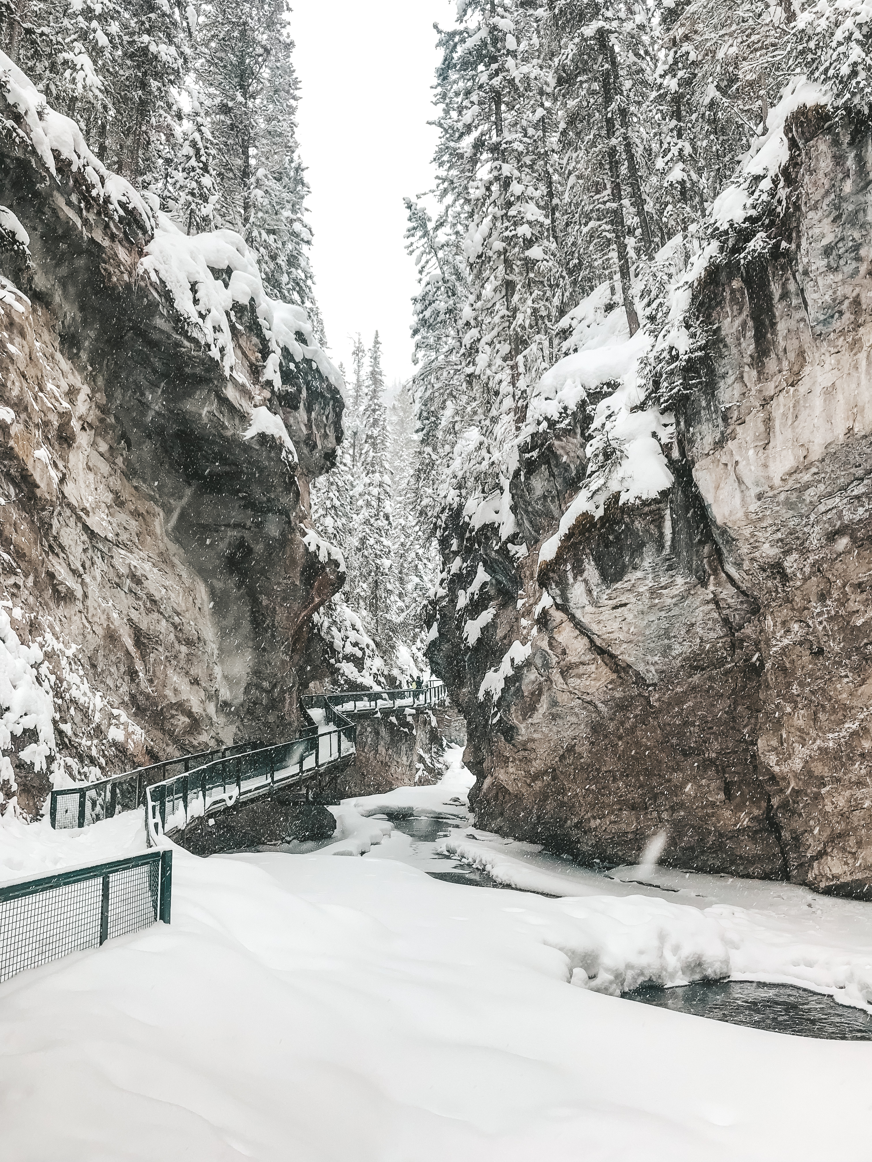 Winter Wonderland Adventure in Banff