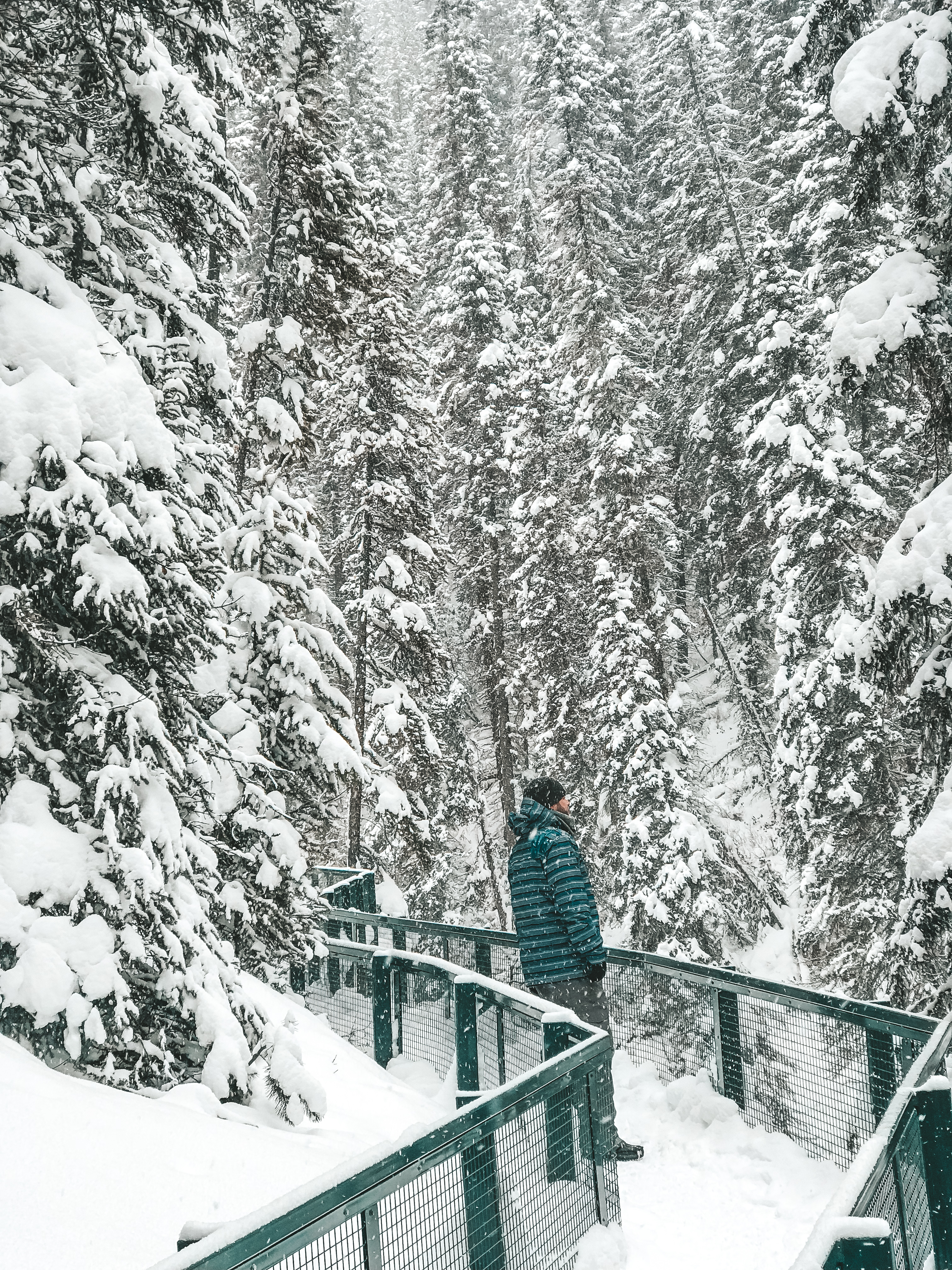 Winter Wonderland Adventure in Banff