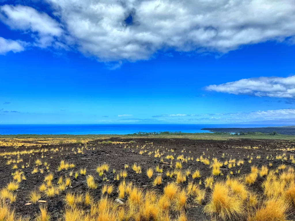 Lava field meets the ocean in Hawaii