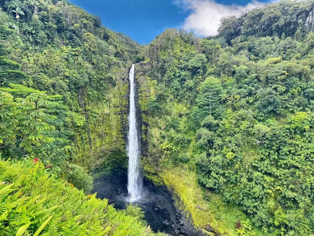 Akaka Falls, the best of Hawaii