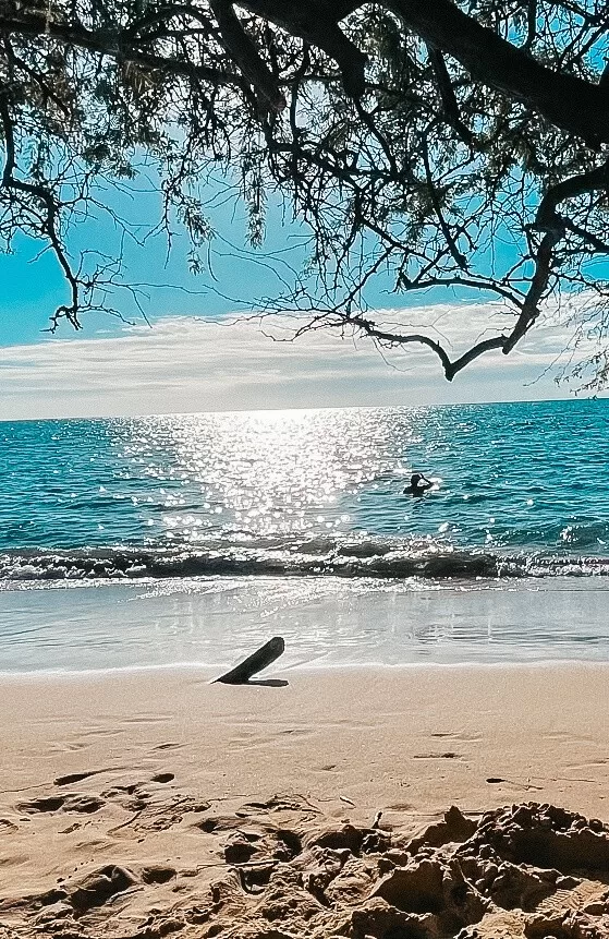 snorkeling with sea turtles on the big island