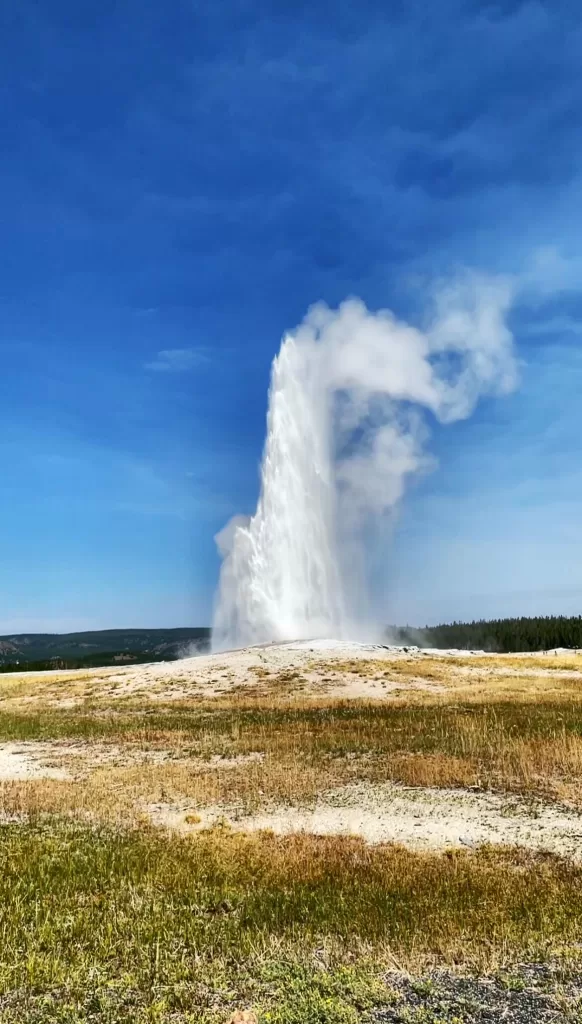 Old Faithful Geyser in Yellowstone