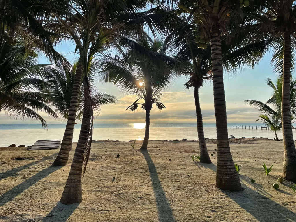 Island Life on San Pedro