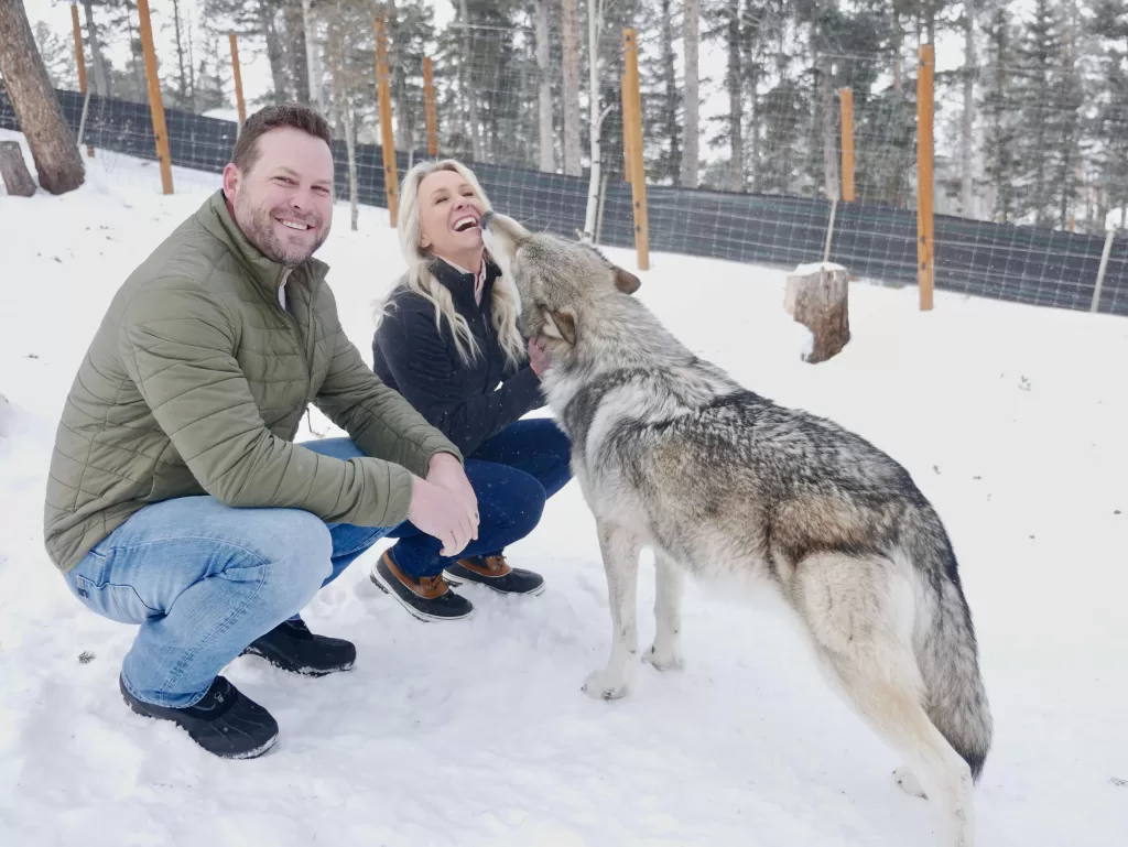 Getting kissed by a wolf