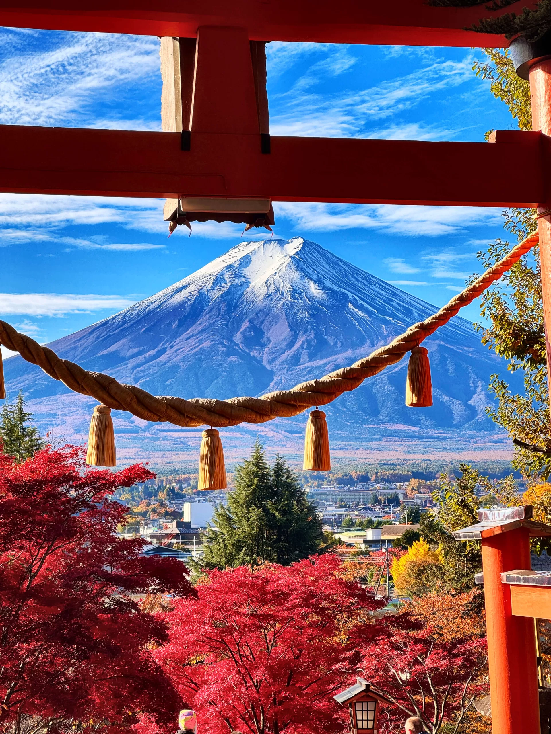 View of Mt Fuji